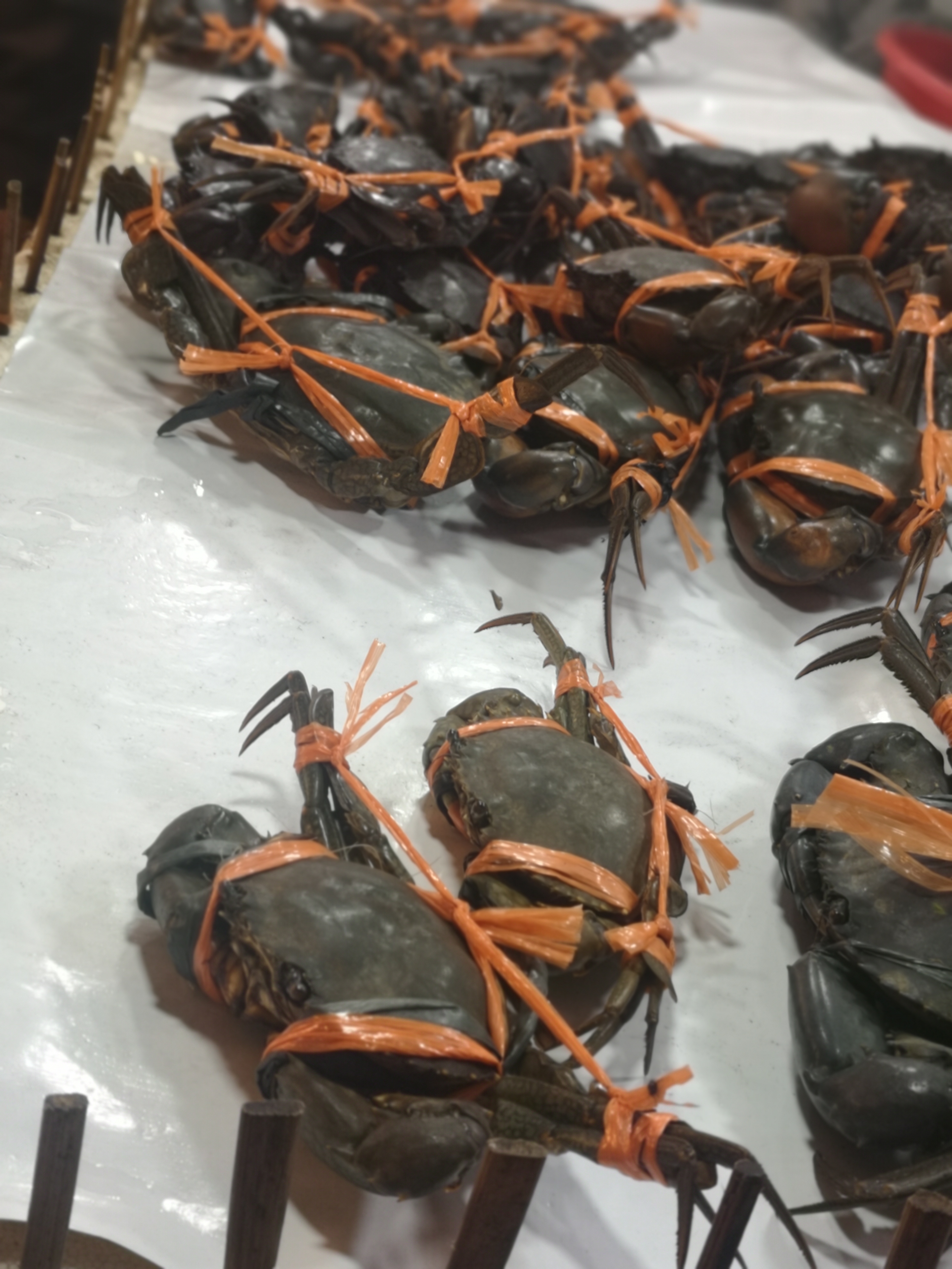 带你看菲律宾的海鲜市场,菲律宾海鲜市场最新行情