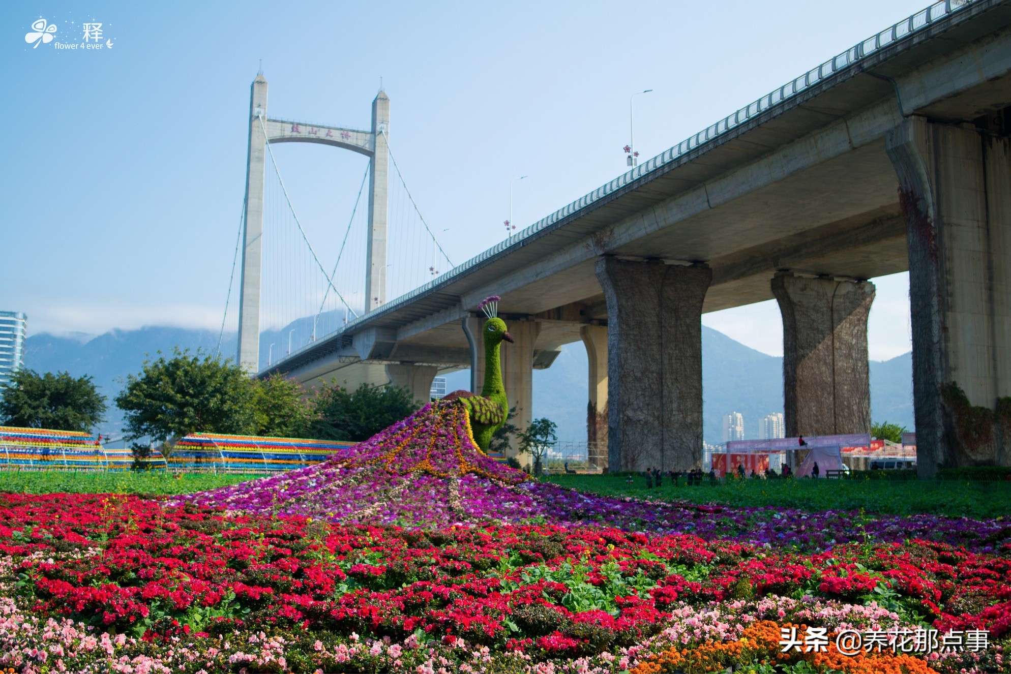 二线城市福州的薪资水平,二线三线城市房子多少钱
