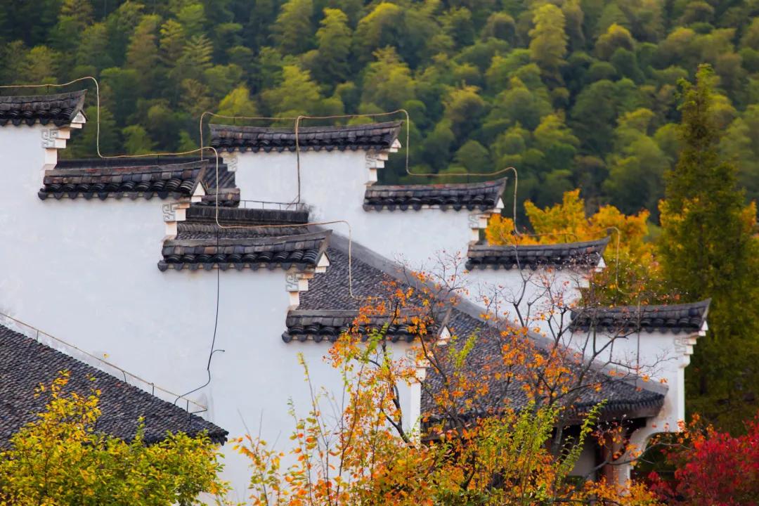 江浙沪天然温泉度假村排名榜,江浙沪温泉最好的地方排名
