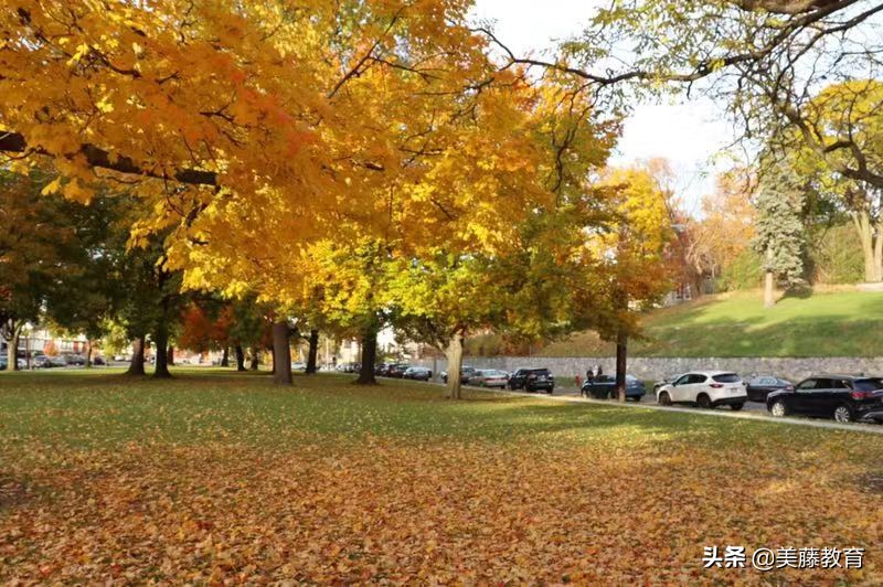 德克萨斯奥斯汀怎么样,德克萨斯大学奥斯汀分校的条件