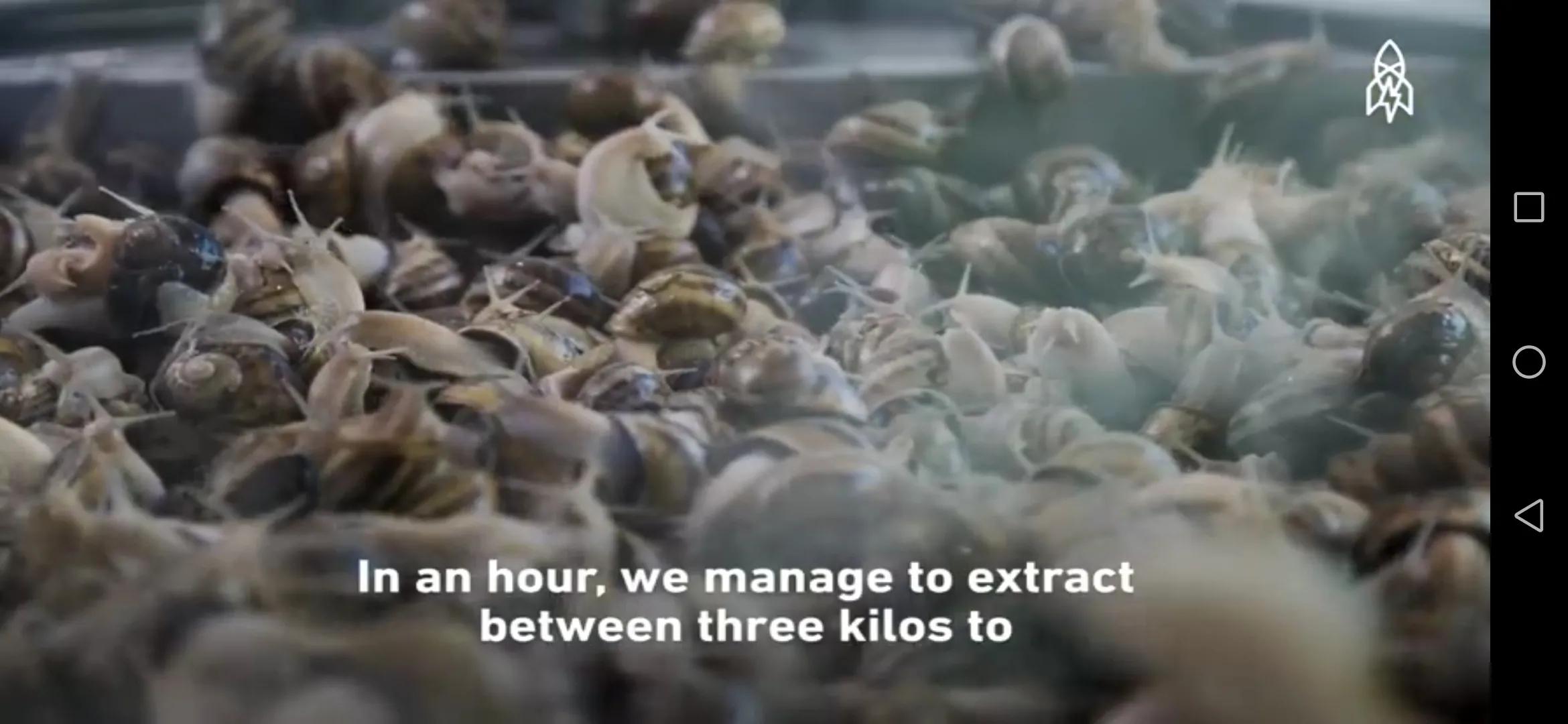 蜗牛护肤品是不是纯植物的,蜗牛的护肤品怎么这么便宜