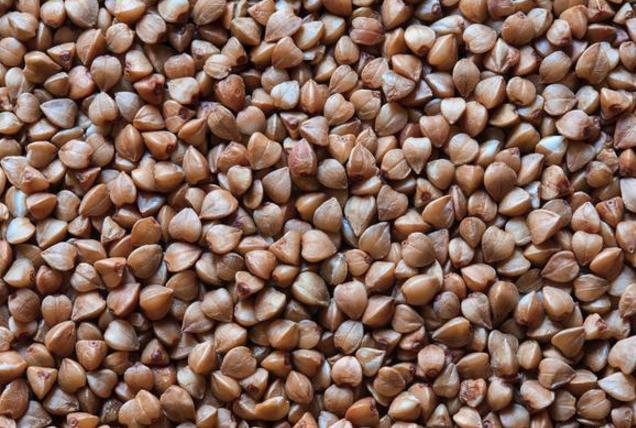 荞麦的栽培种植技术有哪些,种荞麦最高产量一亩能产多少公斤