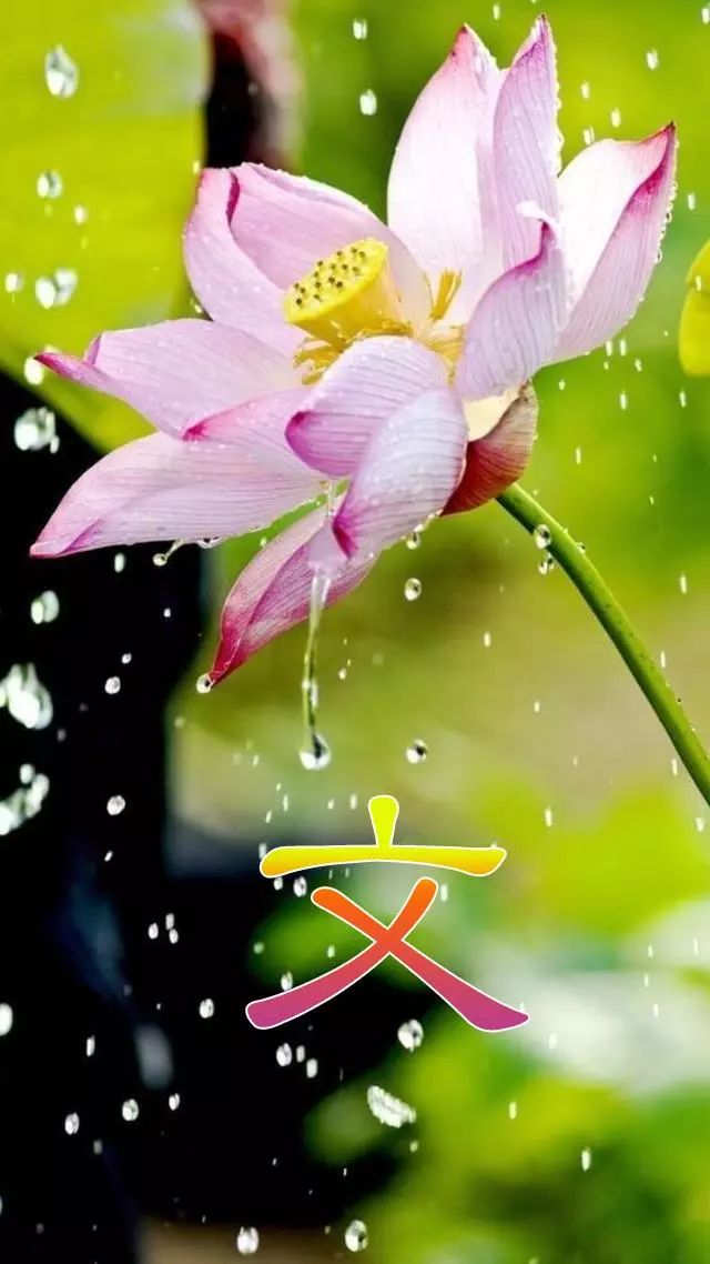 天然翡翠财字,翡翠字体图片欣赏