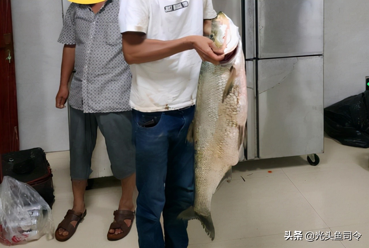 禁止泥鳅钓鱼的法律依据,禁止用泥鳅钓鱼