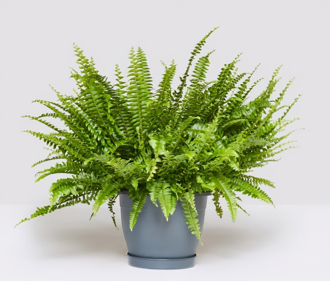 卫生间比较潮湿怎么能快速解决,卫生间潮湿长霉斑怎么办