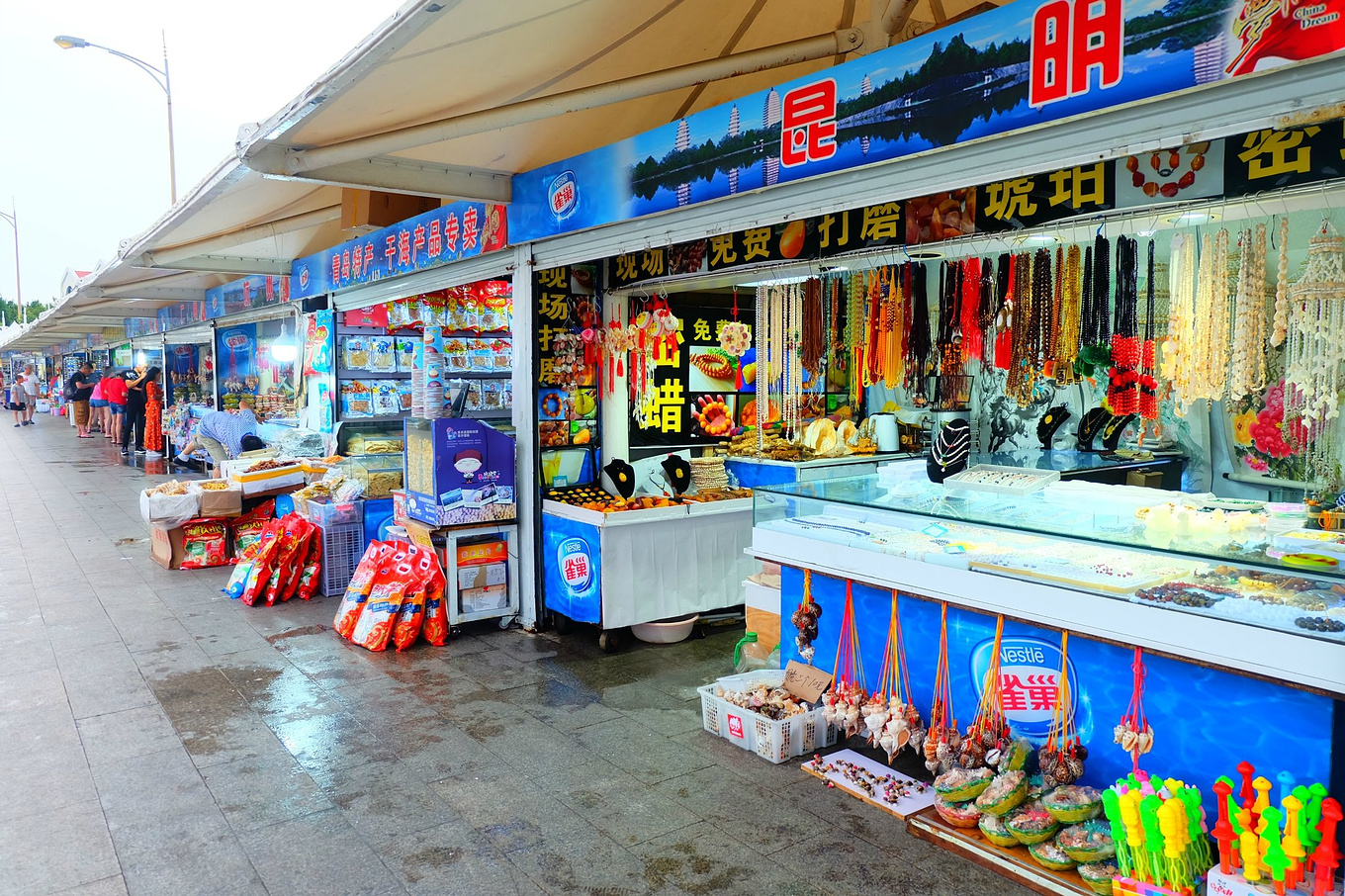 骆驼青岛,骆驼旅行在路上