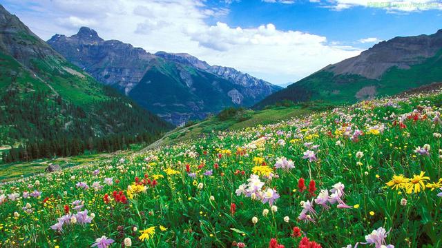 真用功还是假努力,真努力和假努力