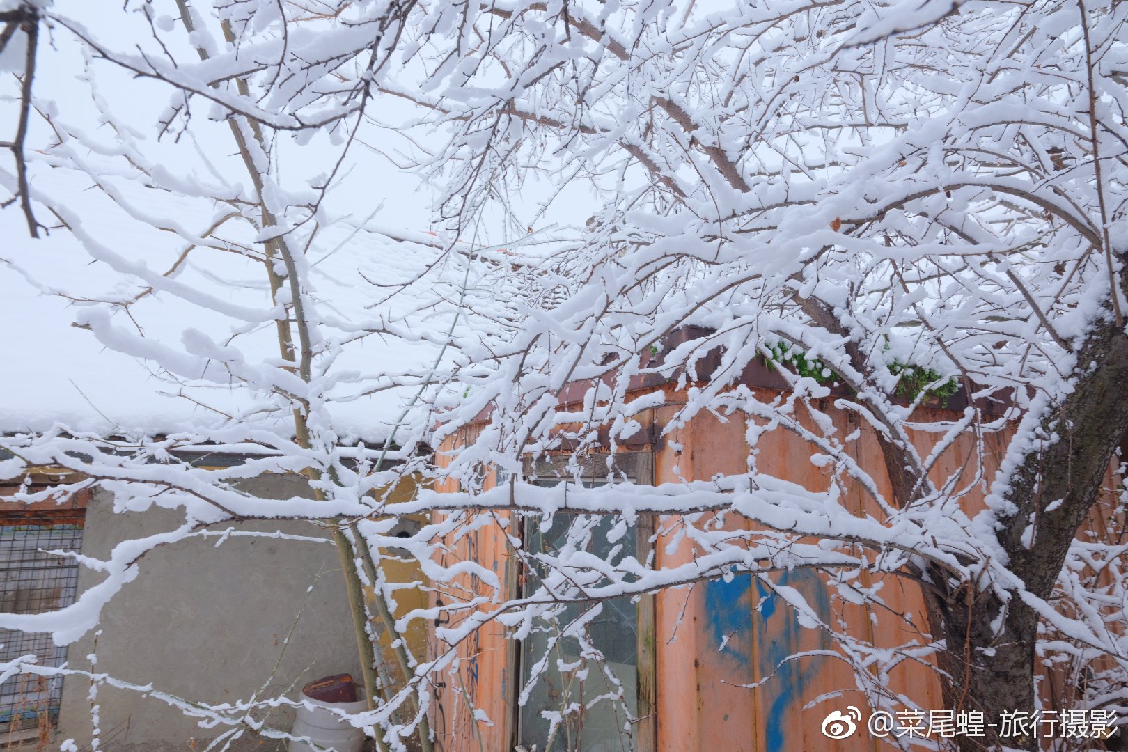 贝尔格莱德旅游免签,东欧冬天旅游攻略