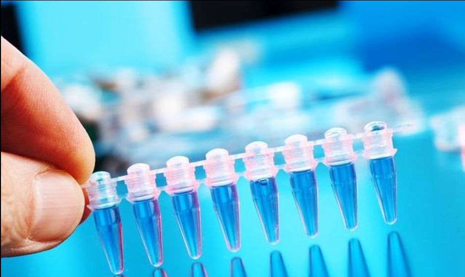 肿瘤早期筛查体检ppt,ctc发现2个循环肿瘤细胞