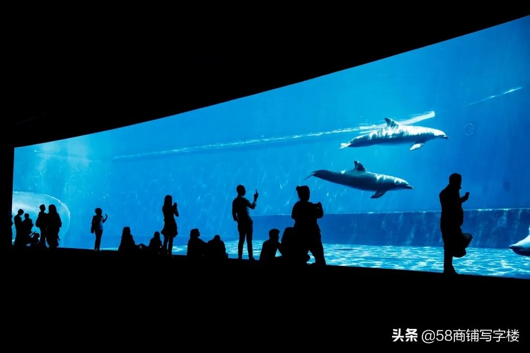 2020网红十大店,十大品牌网红店