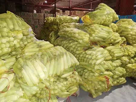 爱心助农米面粮油推销宣传,爱心助农蔬菜批发