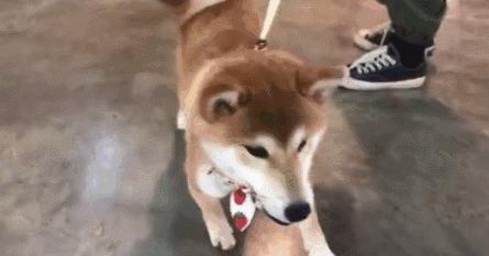 广州2017年地王广场,难说再见广东