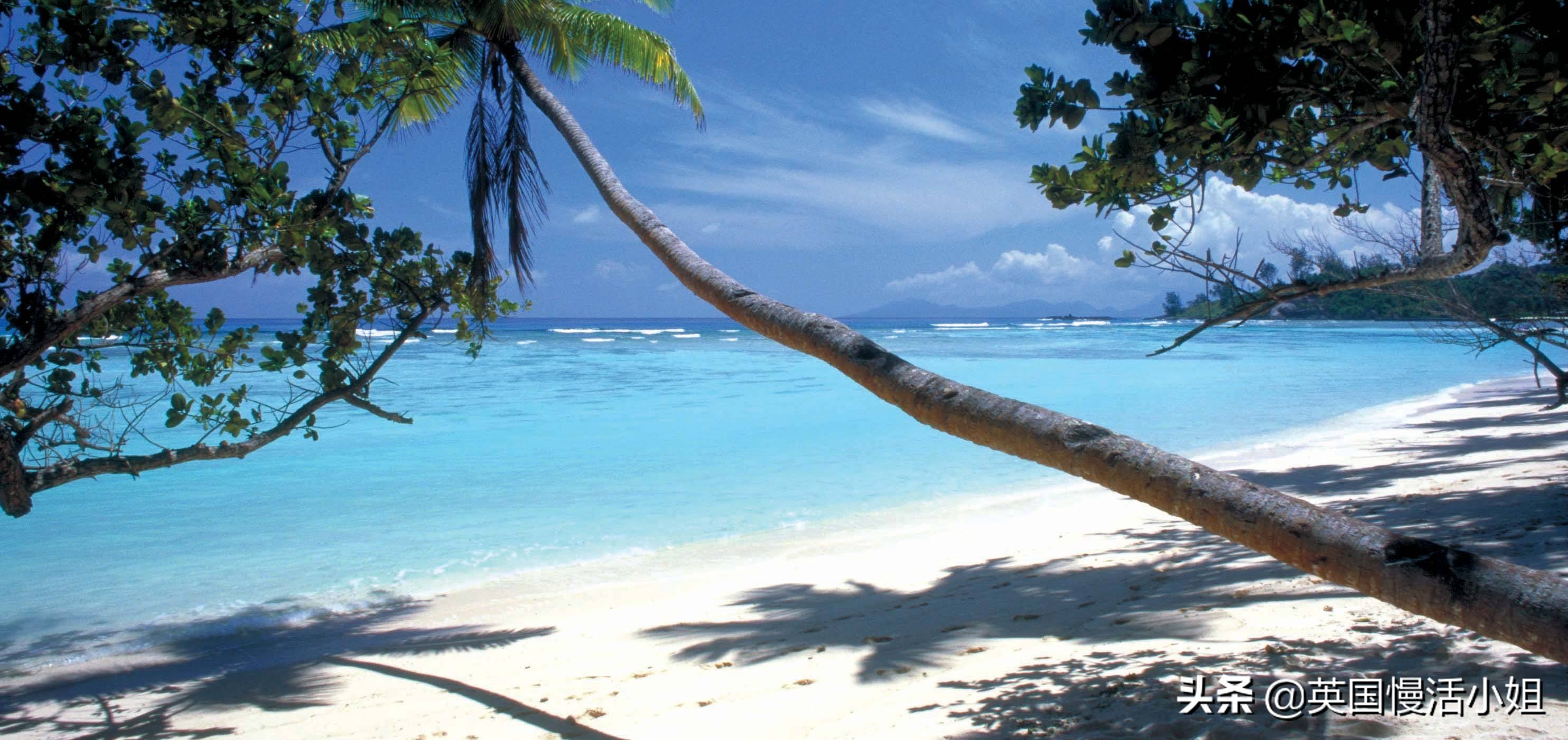 塞舌尔海滩风景视频,塞舌尔海岛完整版