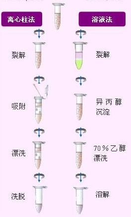 核酸检测pcr的方法,pcr核酸检测技术结果分析