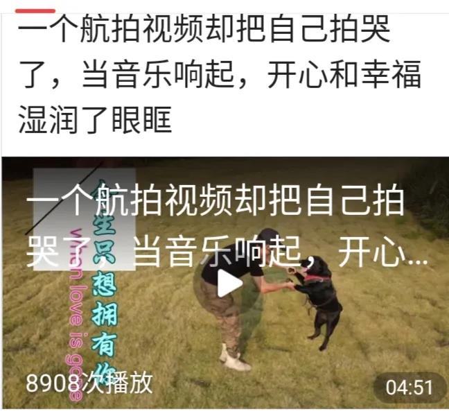 乐途黑妞的收获,黑妞乐途2019年骑行视频