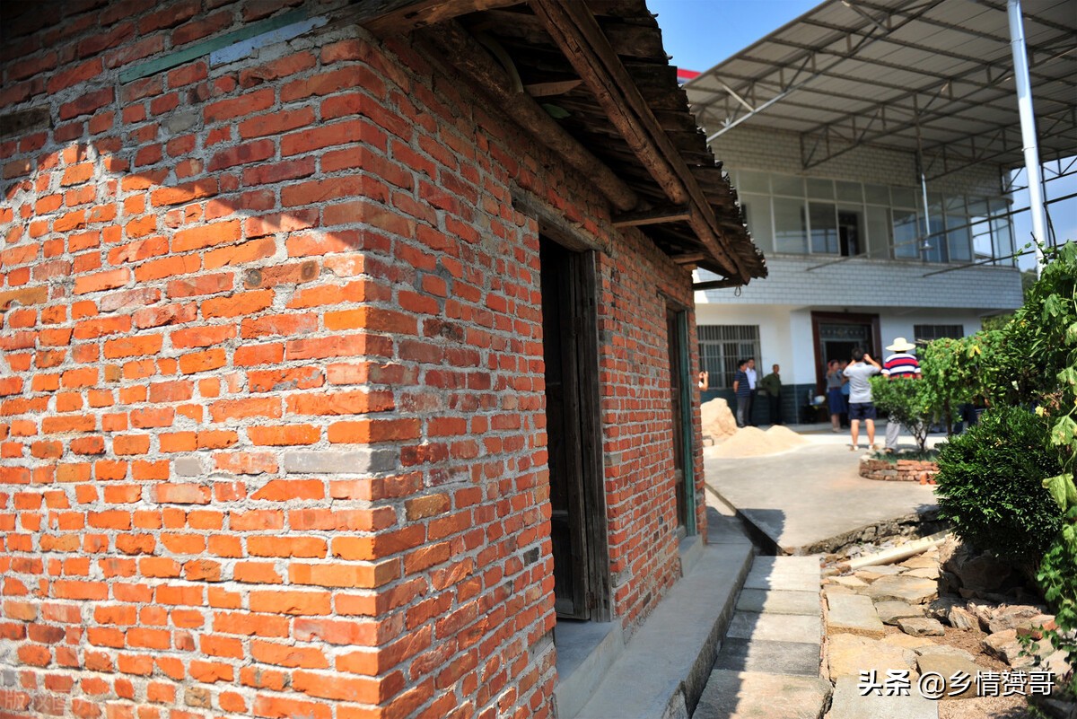 农村夏季如何驱除苍蝇,驱赶苍蝇最简单实用的办法