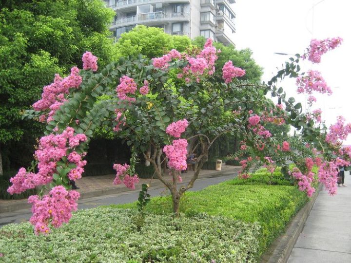 冷知识科普员,冷知识大科普你知道几条