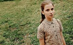 哈利波特以花为名的人,哈利波特中哪些人是以花命名的