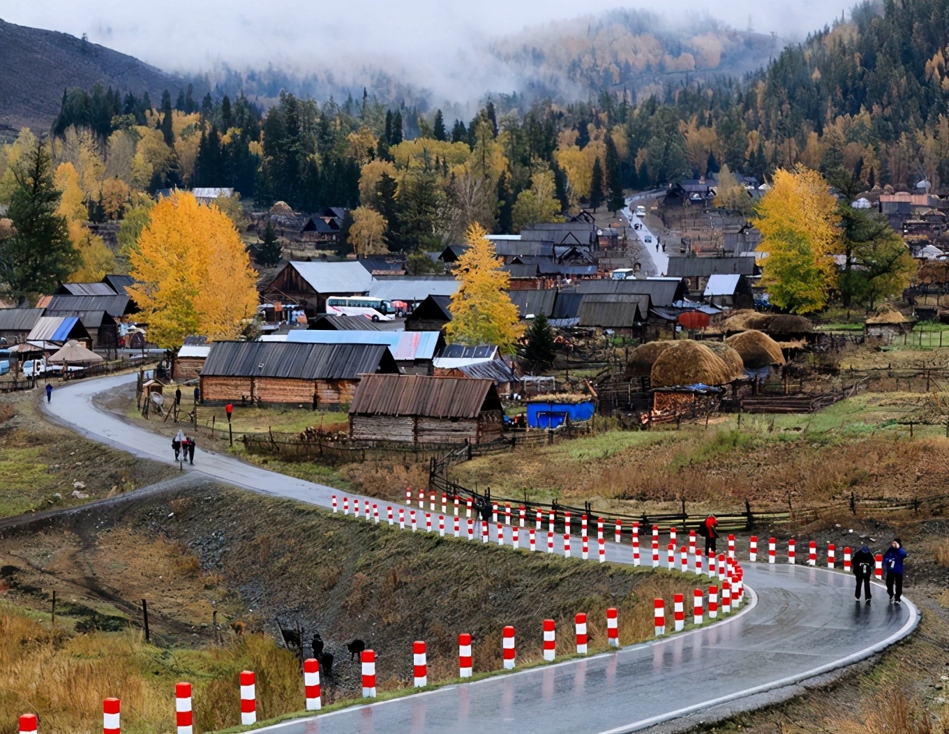 新疆疆内旅行攻略学生,川进疆出自驾游攻略
