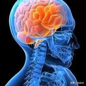 高三一年你是怎样逆袭的,辛锐从倒数第一逆袭到第一