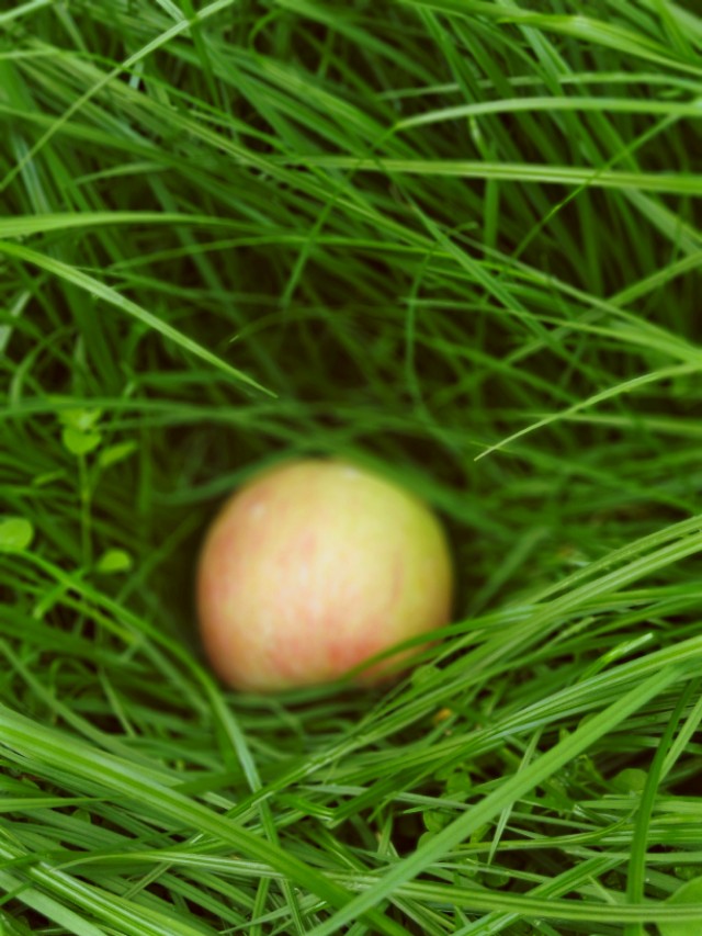 人穷志不穷最好不要找亲戚,远离心穷无骨气的亲戚