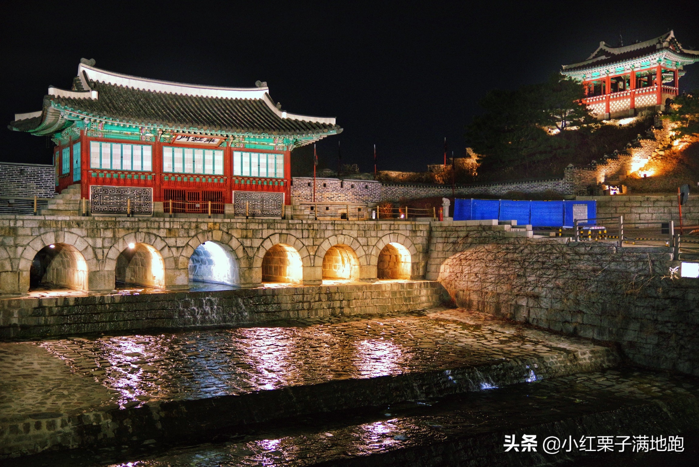 疫散花开张家界,疫散花开欢迎归来