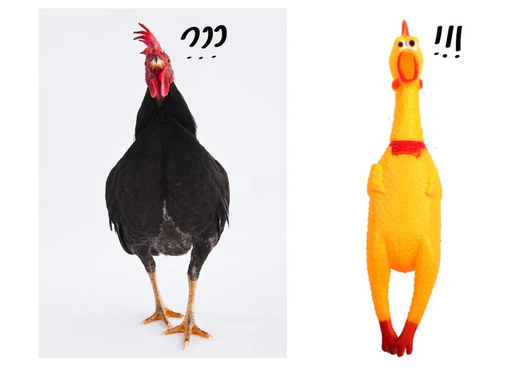 一张名片上印多个品牌logo,一张图片一个大字