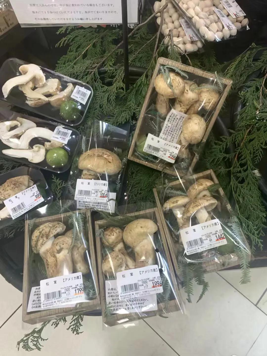 日本名古屋旅游必需品,日本名古屋一日游攻略住宿