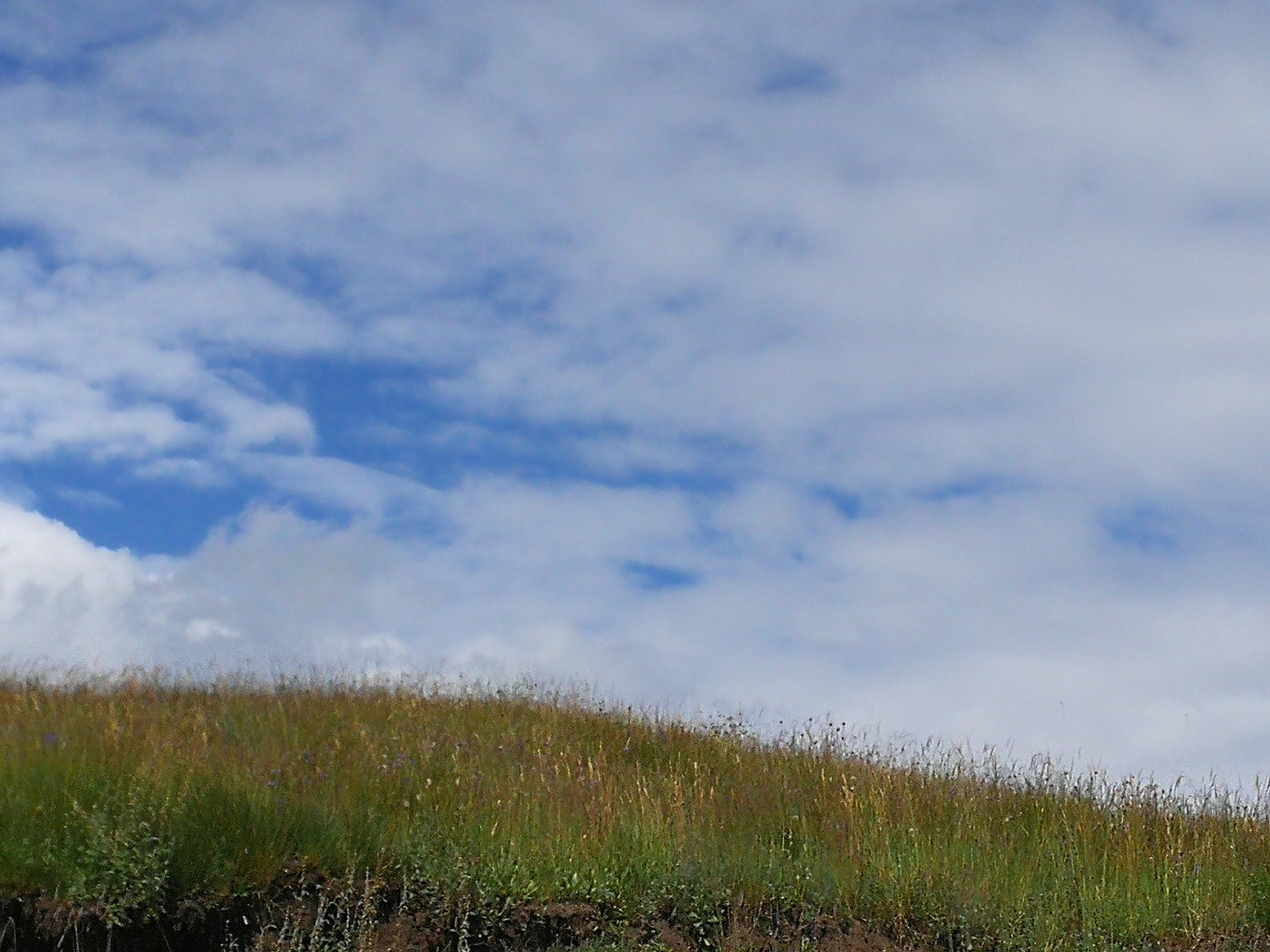 银行信用卡逾期不还会怎样,信用卡停用了没还款后什么后果