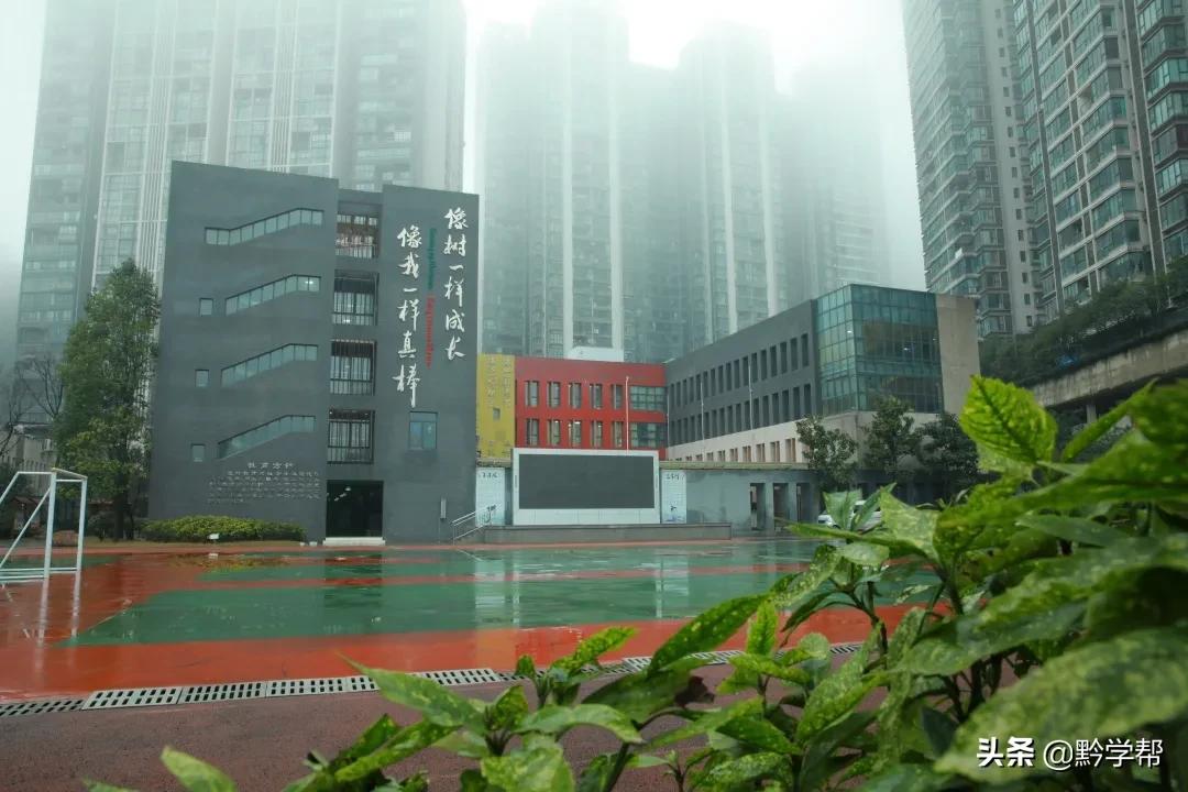 贵阳一小学分校,贵阳小学排名含分校