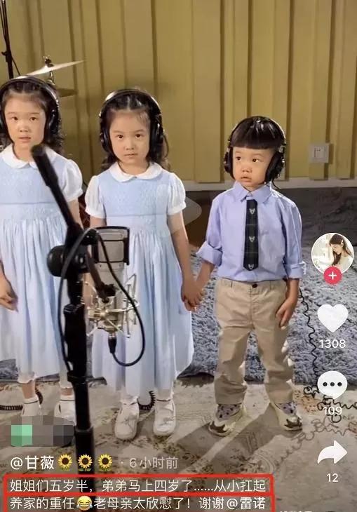 甘薇负债,甘薇资产负债多少亿