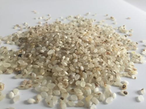 买的米生了很多虫子能吃吗,刚买的米为什么有香味