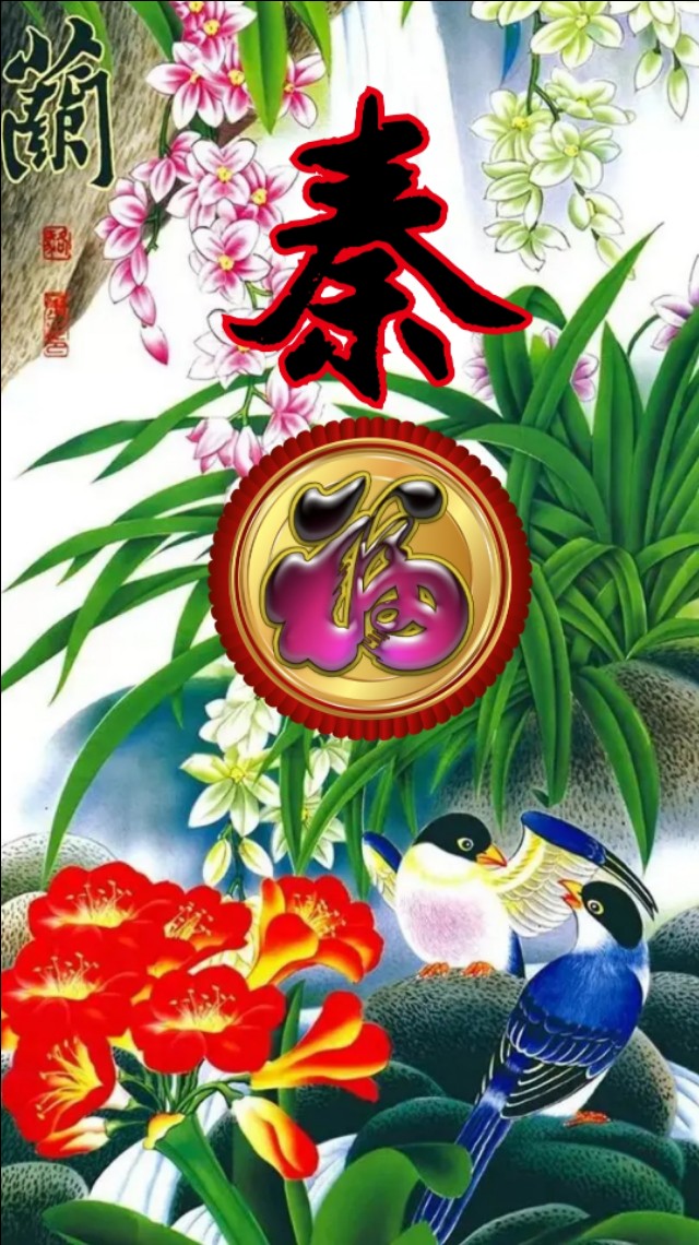 精美兰花壁纸图,兰花高贵壁纸