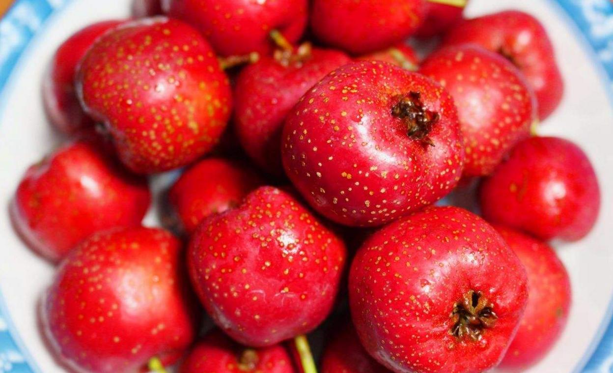 两鬓头发发黄的原因,如果鬓角有白发吃什么能变黑