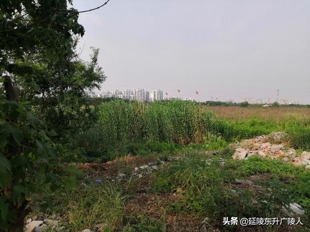 常州胥城遗址与恽南田的家乡