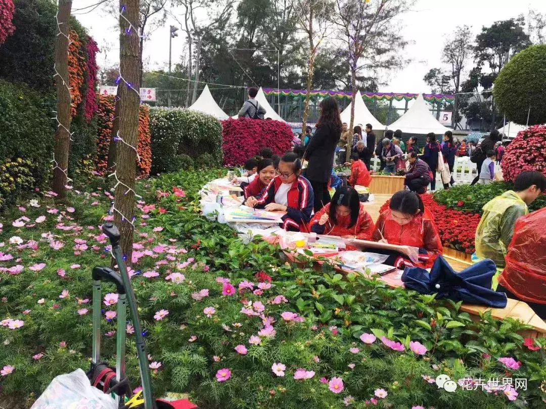 香港花卉艺术展,共赴盛会活动