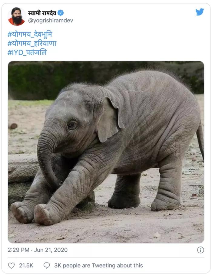 屎尿不值钱？他却打造出100亿牛尿帝国