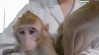 中国科学十大科技进展,中国科技进步有哪些