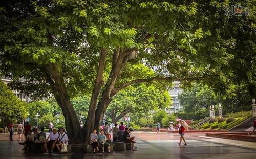 杨源水:我的三大娘