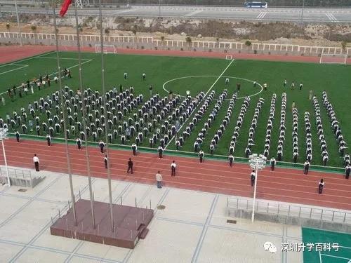 深圳人挤破头都想进的10座小学,深圳人最想进的小学