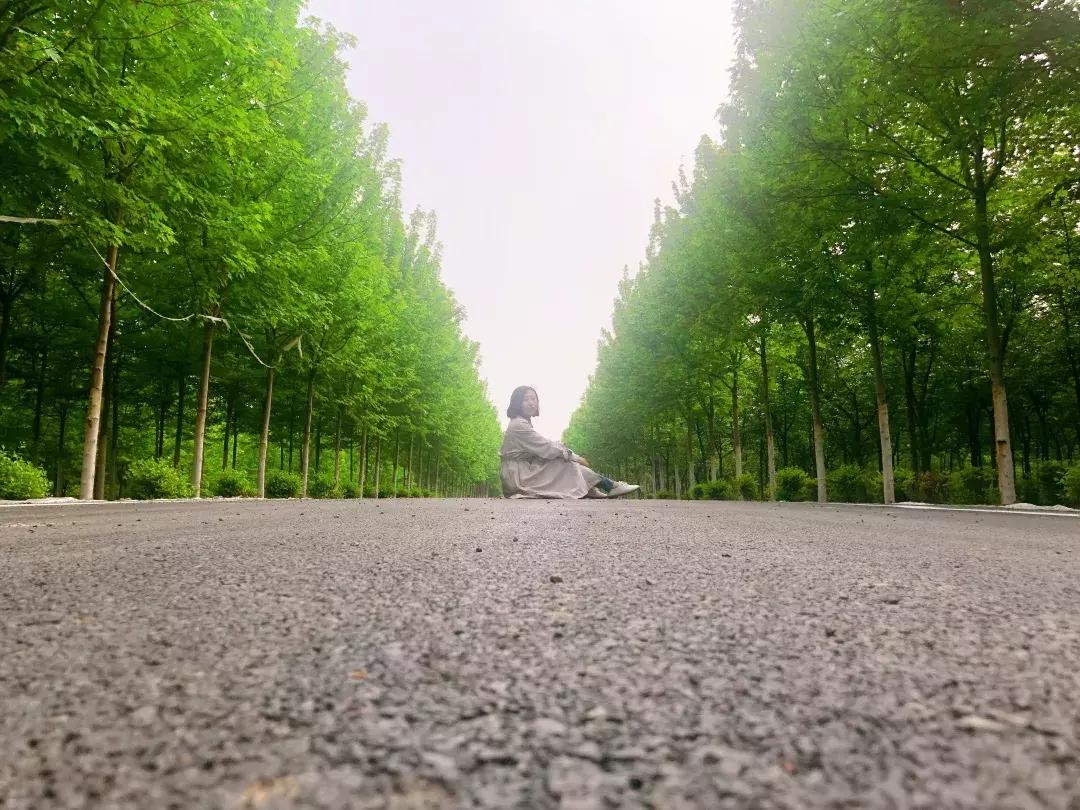 邯郸太行药王谷邀请您~相约五月花神