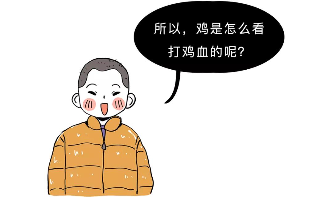 鸭血为什么叫打鸡血,鸡血鸭血有什么区别
