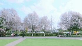 仪陇县新闻联播,仪陇县新闻联播视频