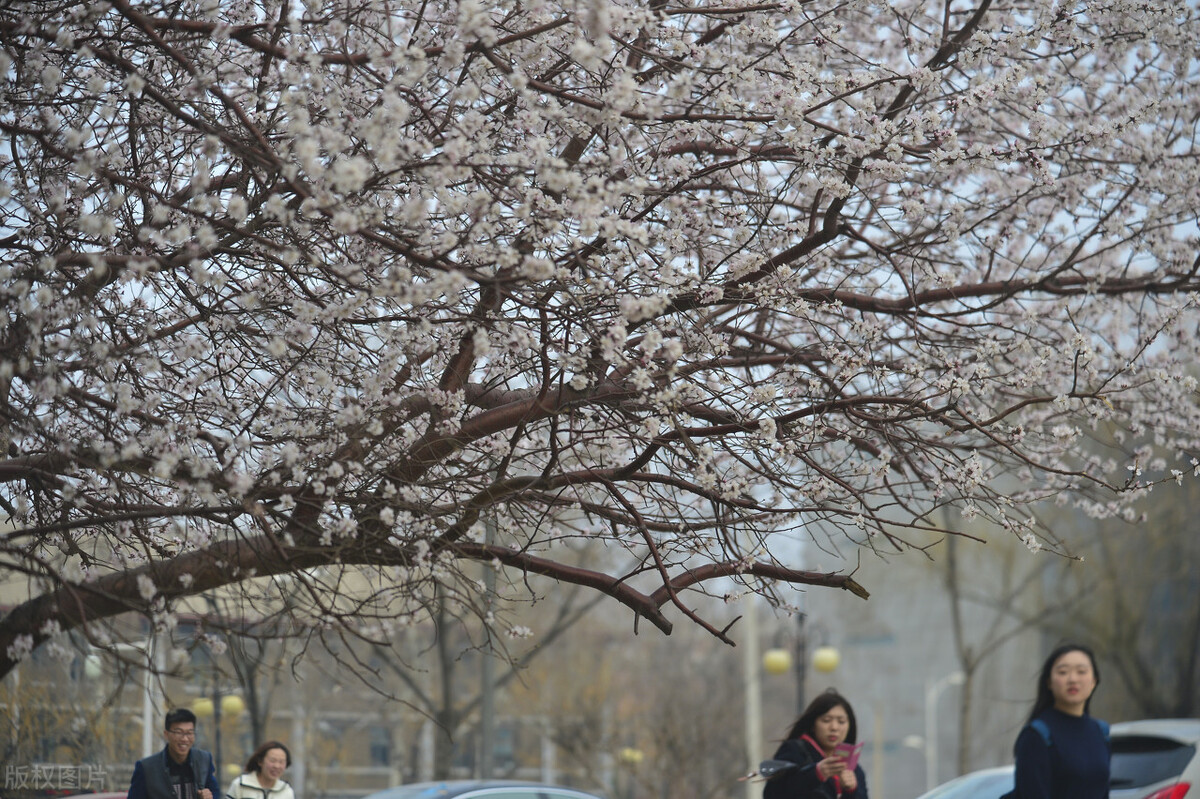 南开大学临床医学专业在全国各省录取线排行榜来了