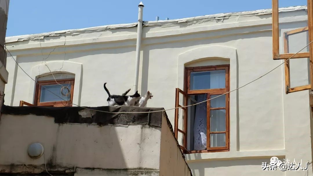 我的旅行日记坦桑尼亚,我的旅行日记自驾新疆游