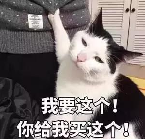 混留学圈？代购狗？颓废二代？在澳留学的你是哪一类？