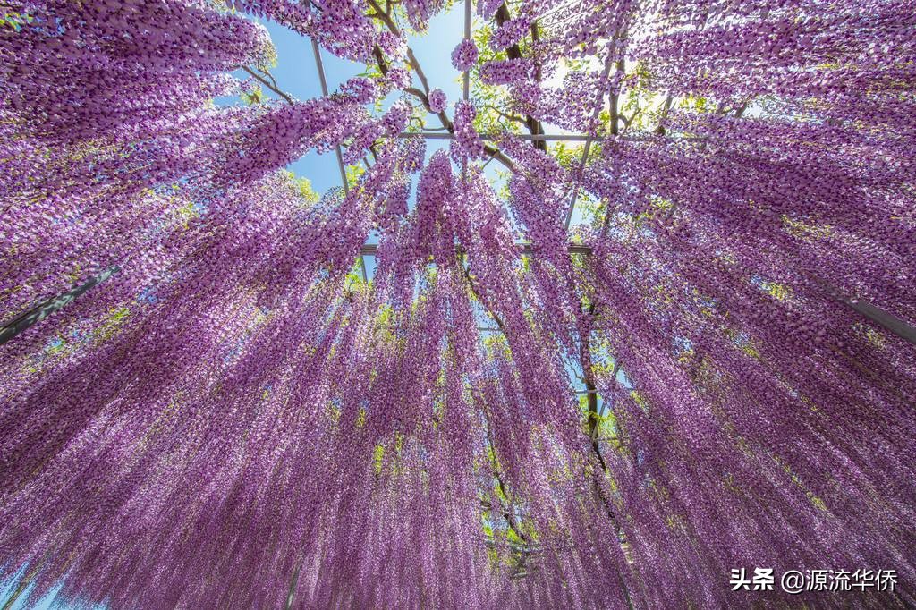 发朋友圈带美文的句子,精美句子适合发朋友圈长句