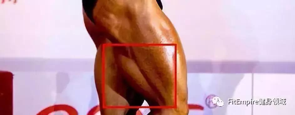 深蹲硬拉刺激肌肉,快速提升深蹲腿部力量训练方法