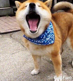 澶у瀷鎾掑▏鐜板満,澶у瀷鍗栬悓鐜板満