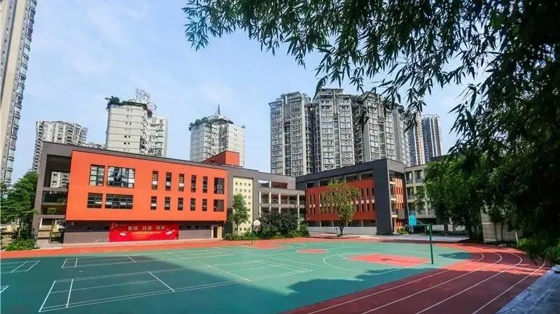 南岸区教育集团有哪些,南岸区小学汇总